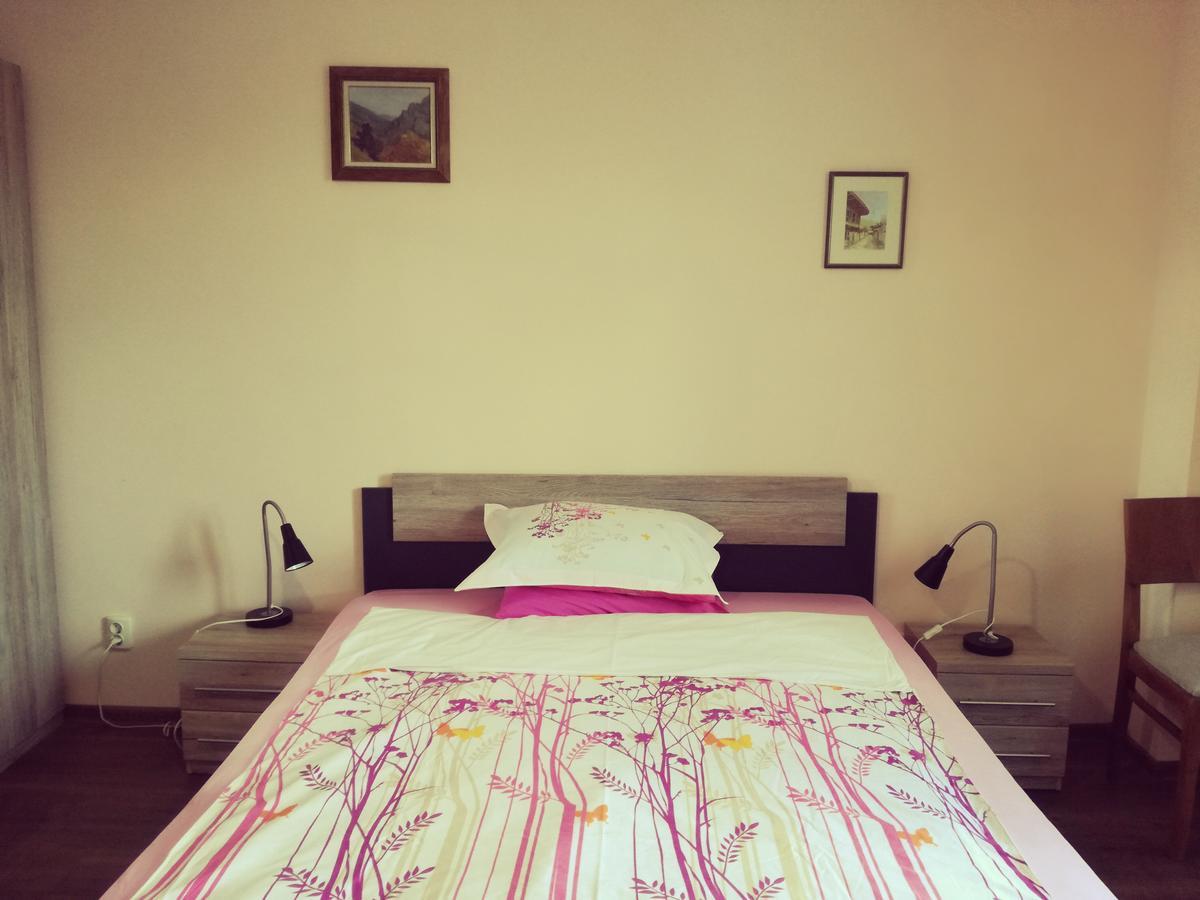 Apartment Durvenitza Σόφια Εξωτερικό φωτογραφία